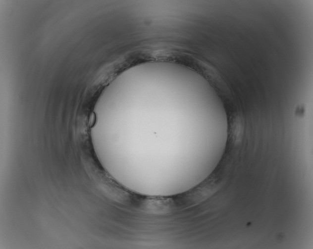 X0000112460571200909071112