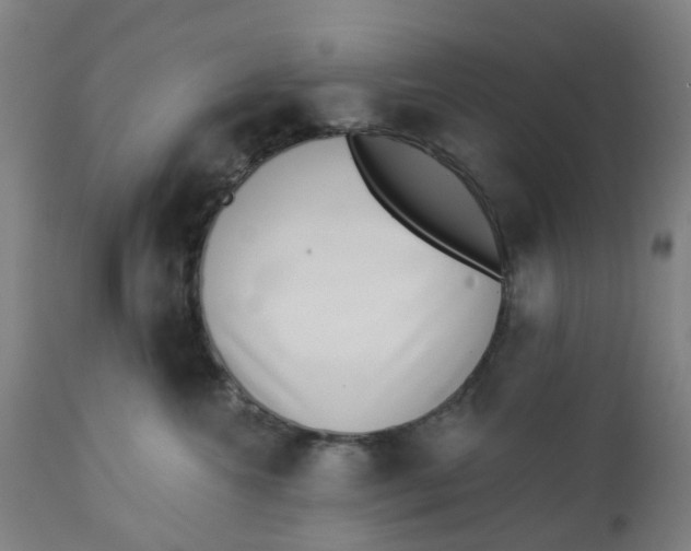 X0000112460572200909071112