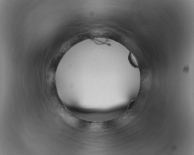 X0000112460574200909071112