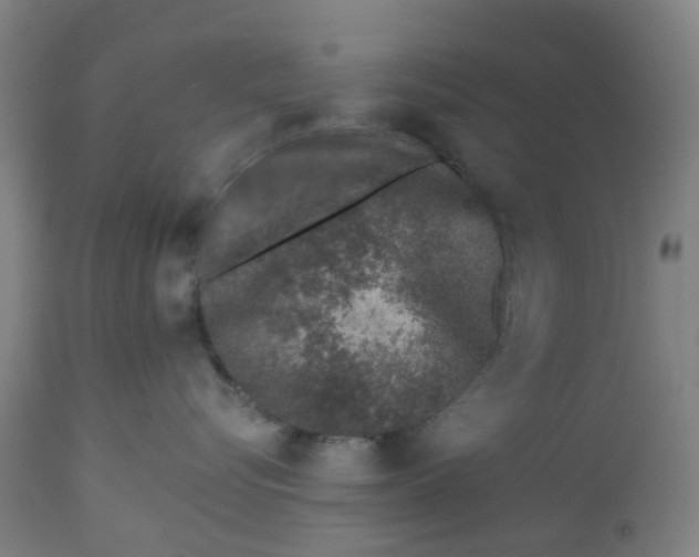 X0000112460576200909071112