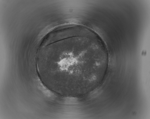 X0000112460577200909071111