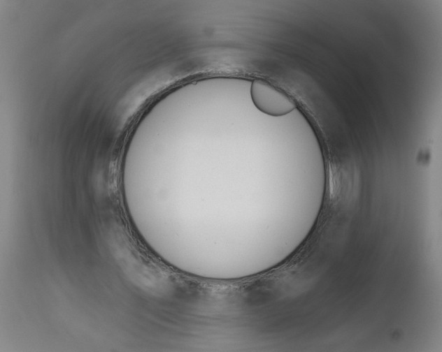 X0000112460579200909071111