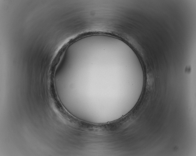 X0000112460580200909071111