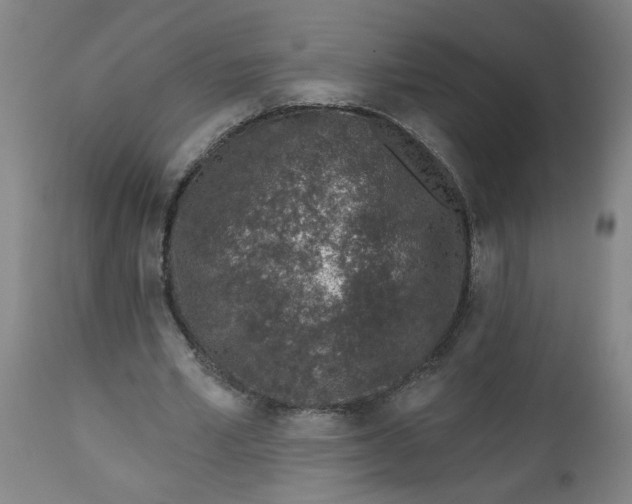 X0000112460581200909071111