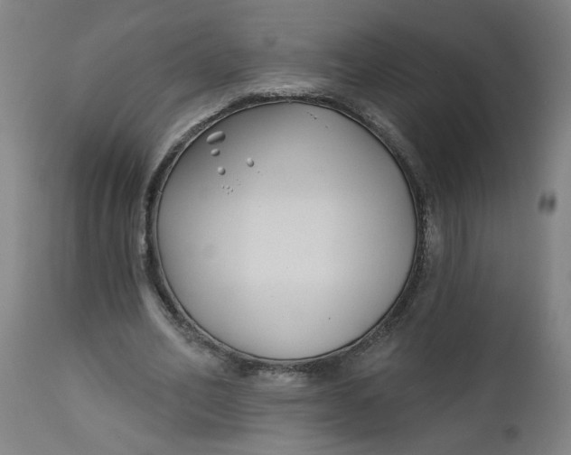 X0000112460582200909071111