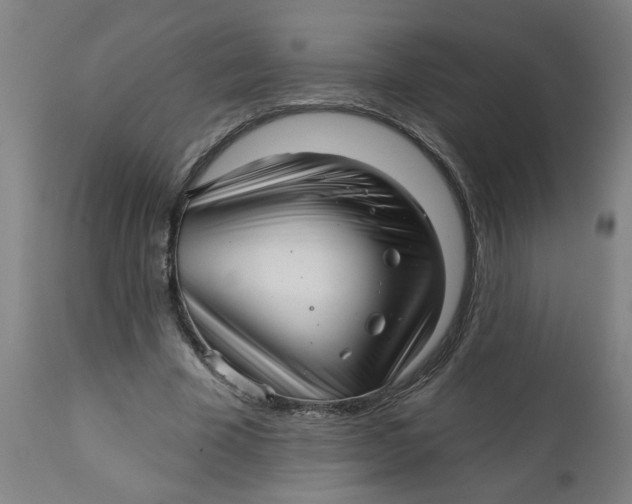 X0000112460585200909071111