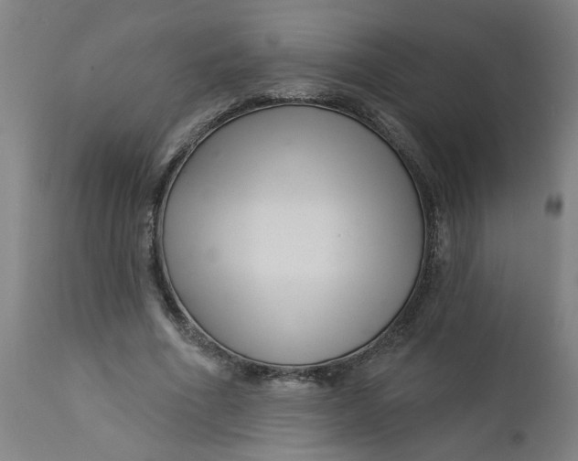 X0000112460586200909071111