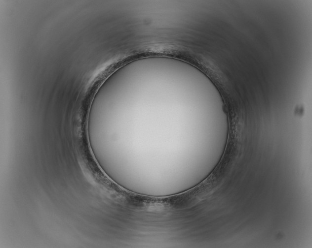 X0000112460587200909071111