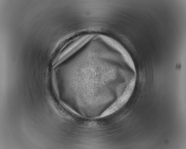 X0000112460588200909071111