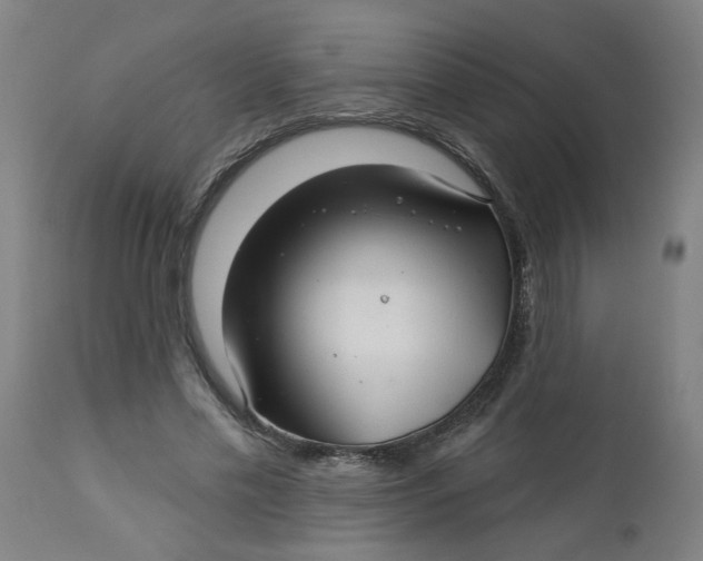 X0000112460589200909071111