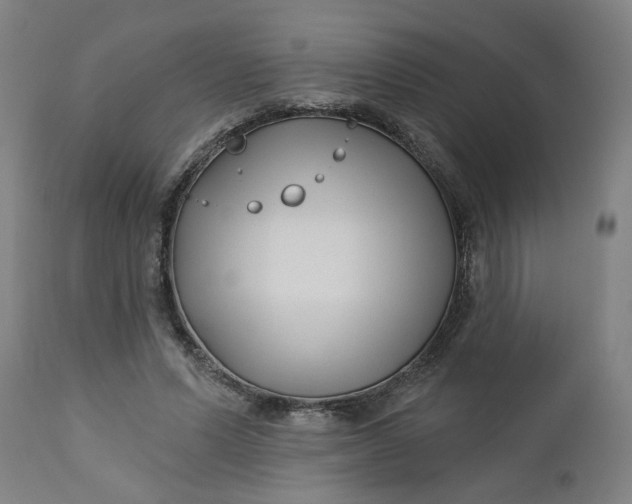 X0000112460591200909071111