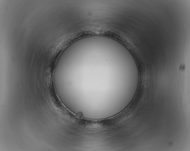 X0000112460594200909071111