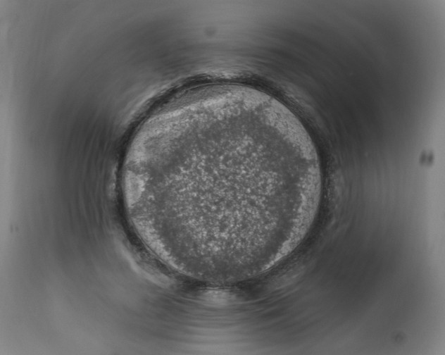 X0000112460596200909071111