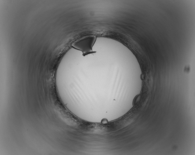 X0000112460601200909071111