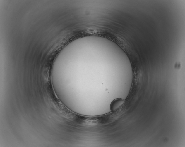 X0000112460606200909071111