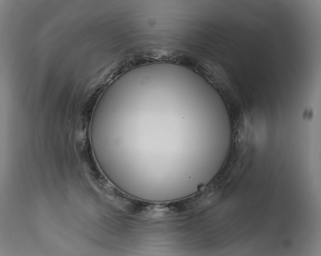 X0000112460607200909071111