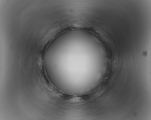 X0000112460609200909071111