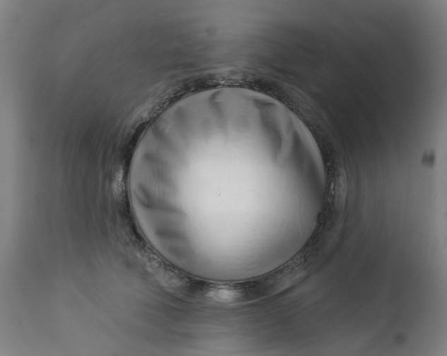 X0000112460610200909071111