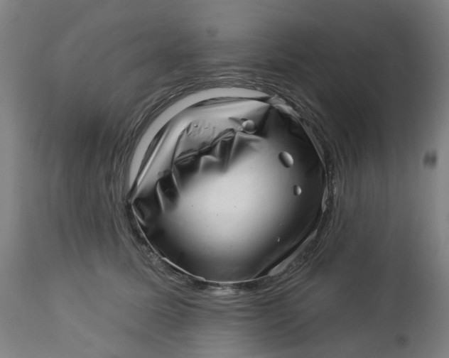 X0000112460611200909071111