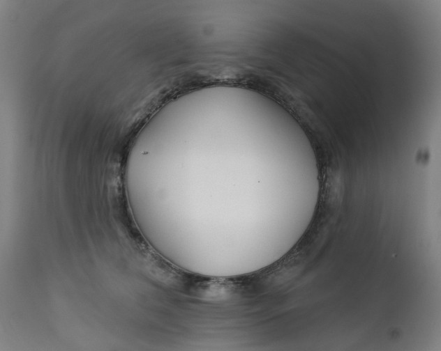 X0000112460612200909071111