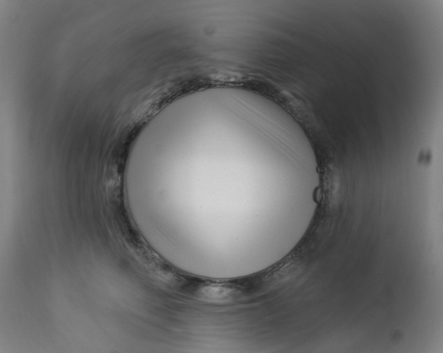 X0000112460614200909071111