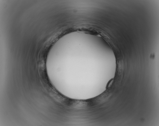 X0000112460617200909071111