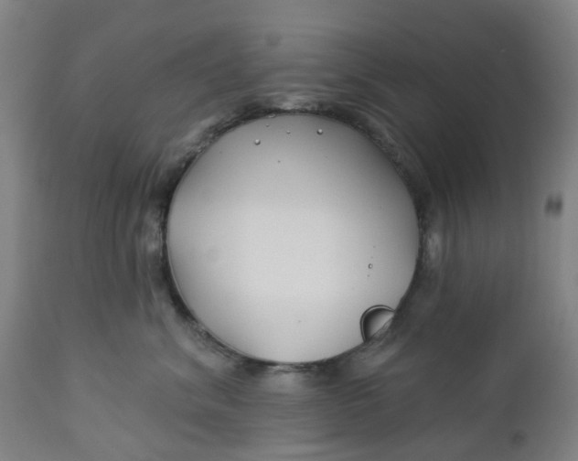 X0000112460620200909071111