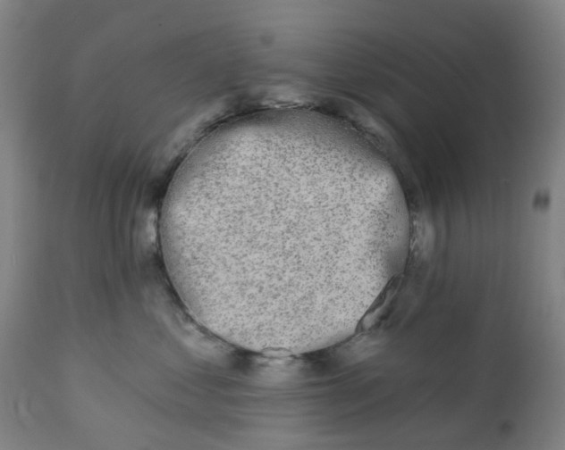 X0000112460621200909071111