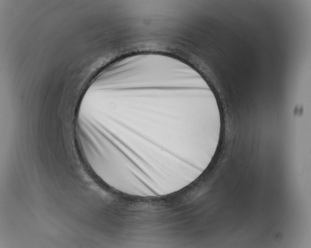 X0000112460625200909071110