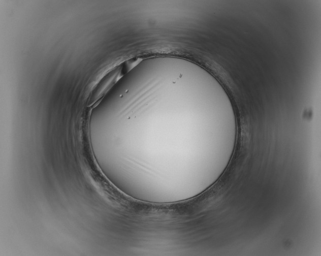 X0000112460626200909071110