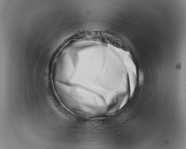 X0000112460627200909071110