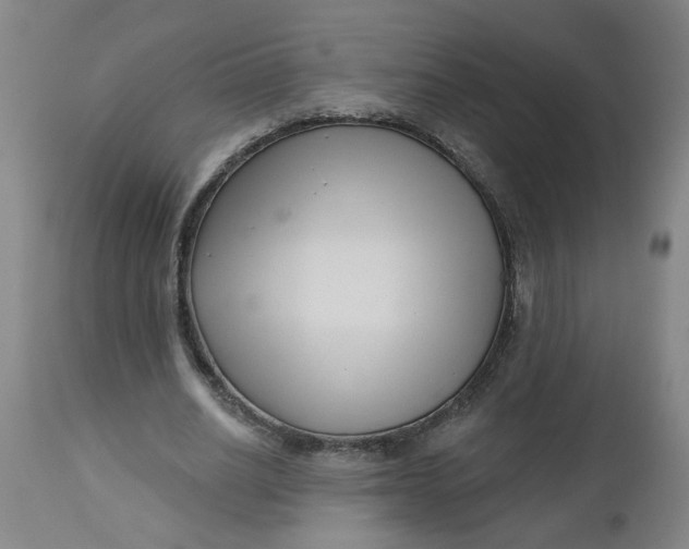 X0000112460630200909071110