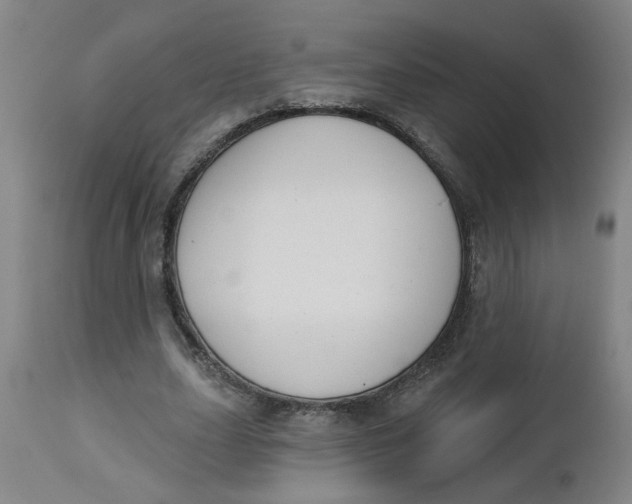 X0000112460631200909071110