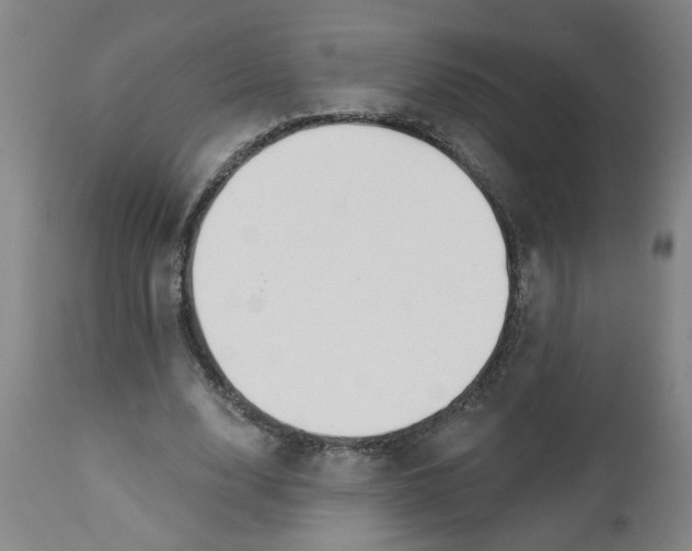 X0000112460632200909071110