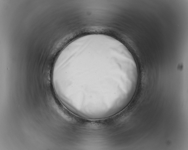 X0000112460633200909071110