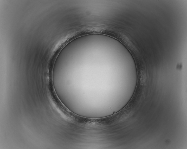 X0000112460634200909071110