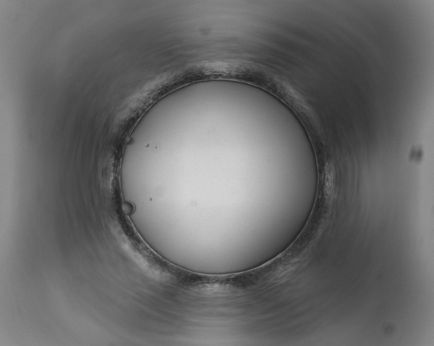 X0000112460637200909071110