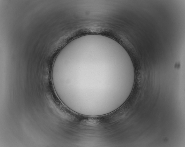 X0000112460639200909071110