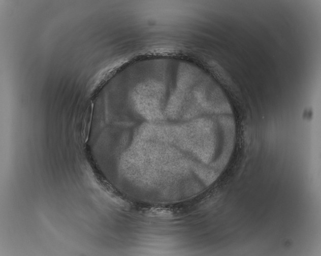 X0000112460640200909071110