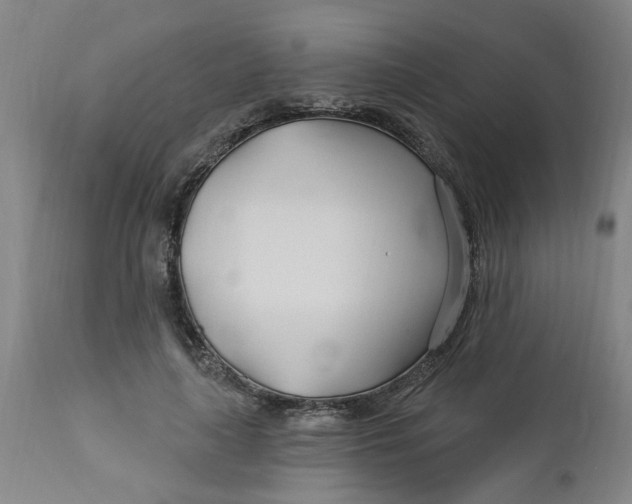 X0000112460643200909071110