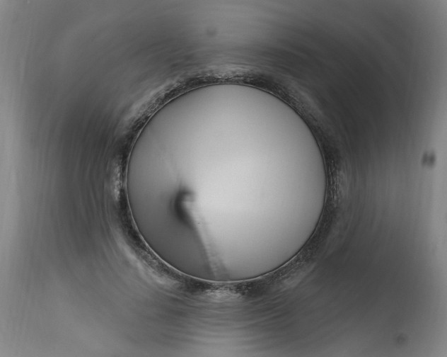 X0000112460644200909071110