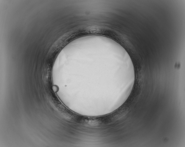 X0000112460645200909071110