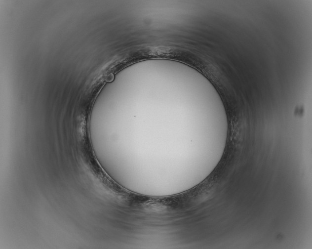 X0000112460648200909071110