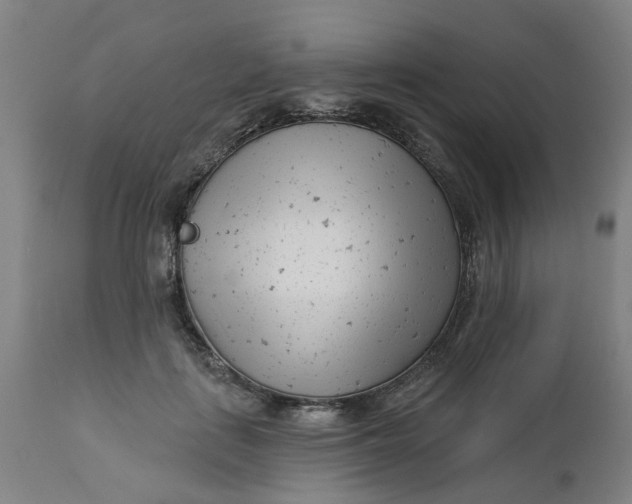 X0000112460651200909071110