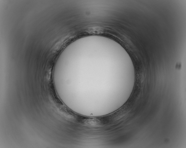 X0000112460652200909071110