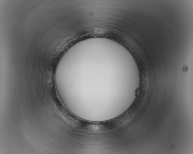 X0000112460654200909071110