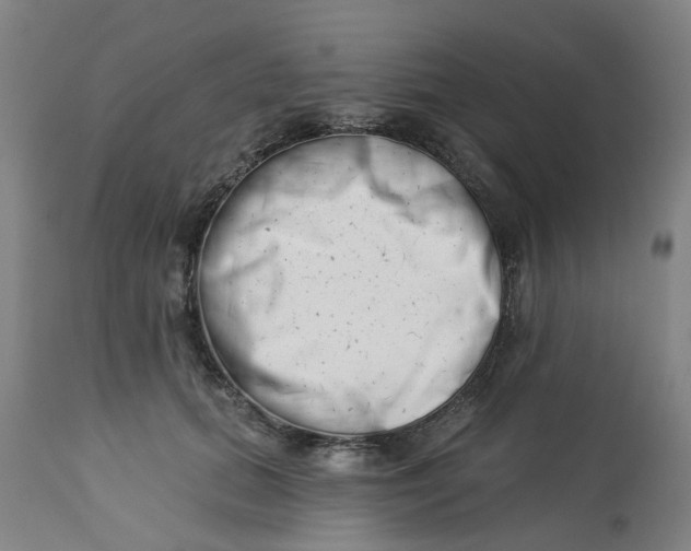 X0000112460655200909071110