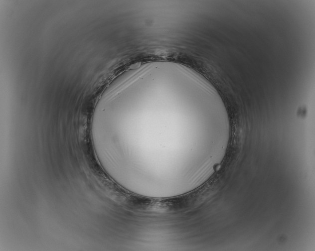 X0000112460656200909071110