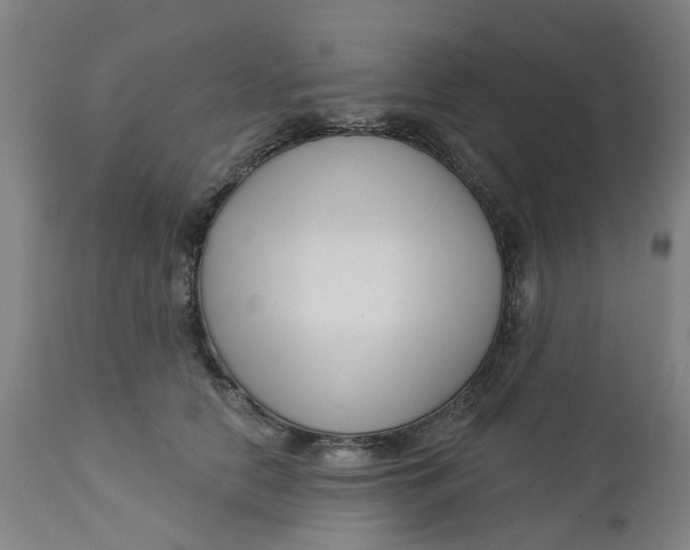 X0000112460658200909071110