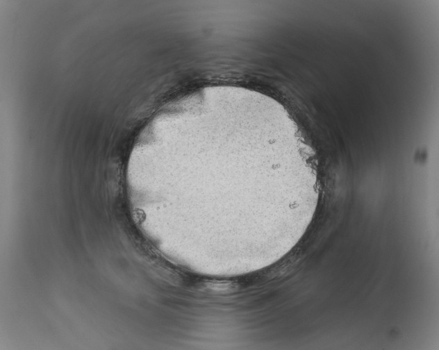 X0000112460659200909071110